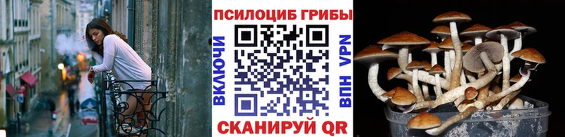 Псилоцибиновые грибы MAGIC MUSHROOMS  Купить где  Куртамыш 
